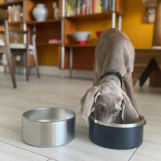 Stainless Steel Dog Bowl