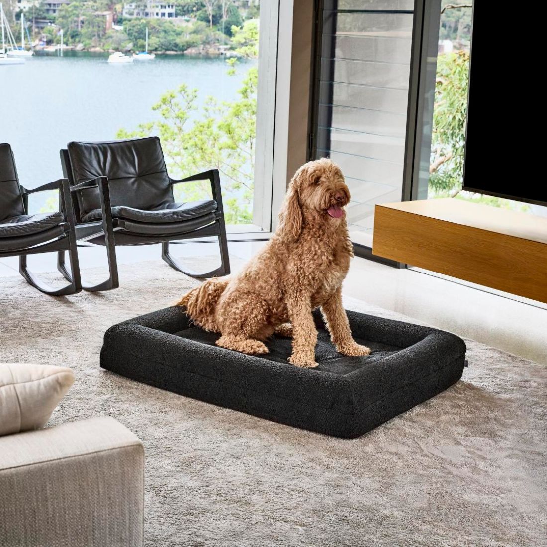 Foam dog beds hot sale for large dogs