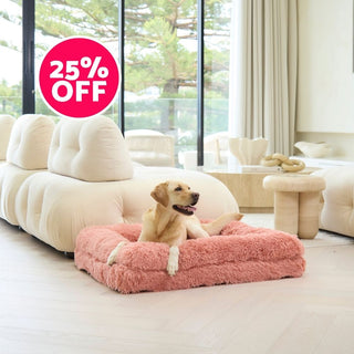 Memory Foam Dog Bed - Shag Pink