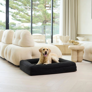 Memory Foam Dog Bed - Boucle Nero