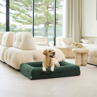 Memory Foam Dog Bed - Boucle Forest Green