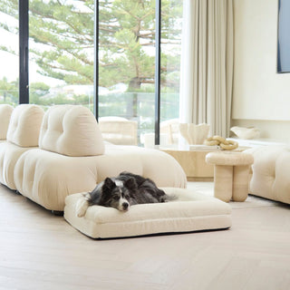 Memory Foam Dog Bed - Boucle Ivory