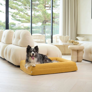 Memory Foam Dog Bed - Boucle Mustard