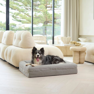 Memory Foam Dog Bed - Boucle Pebble