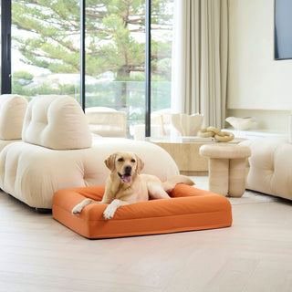 Cooling Dog Bed - Copper Memory Foam