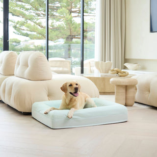 Cooling Dog Bed - Eucalyptus Memory Foam