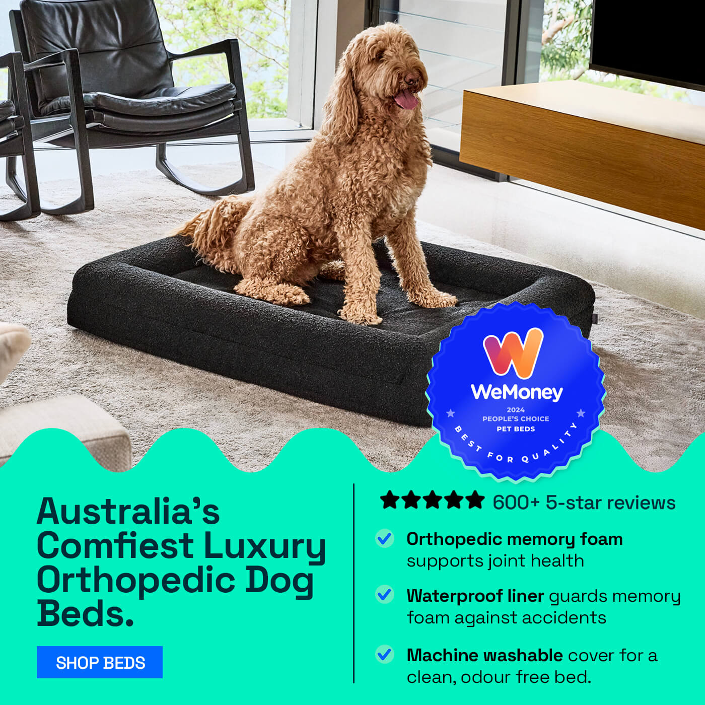 Can you wash memory foam dog bed best sale