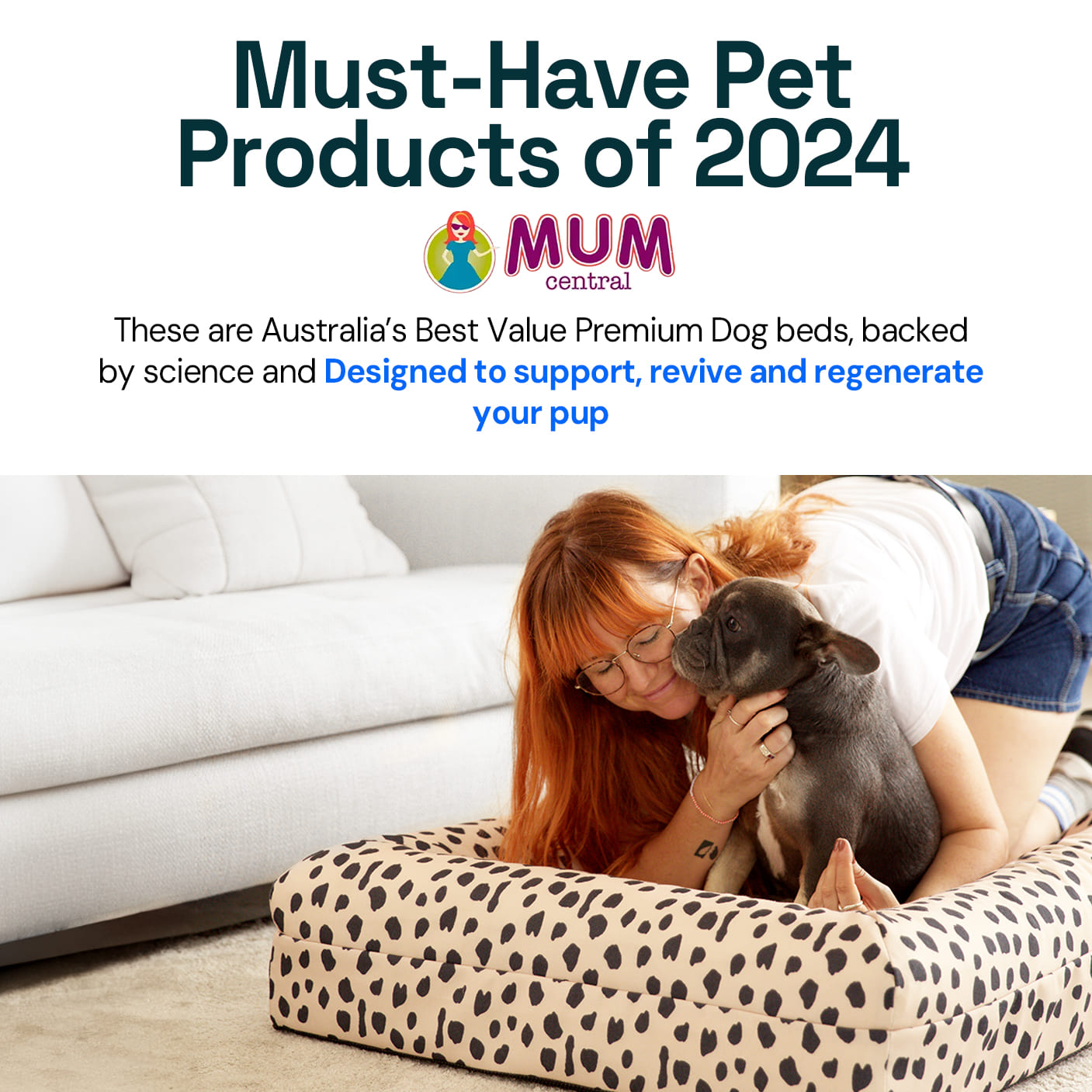 Best value 2024 dog beds