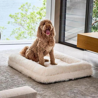 Memory Foam Dog Bed - Shag Cream