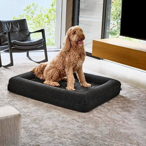 Memory Foam Dog Bed - Boucle Nero
