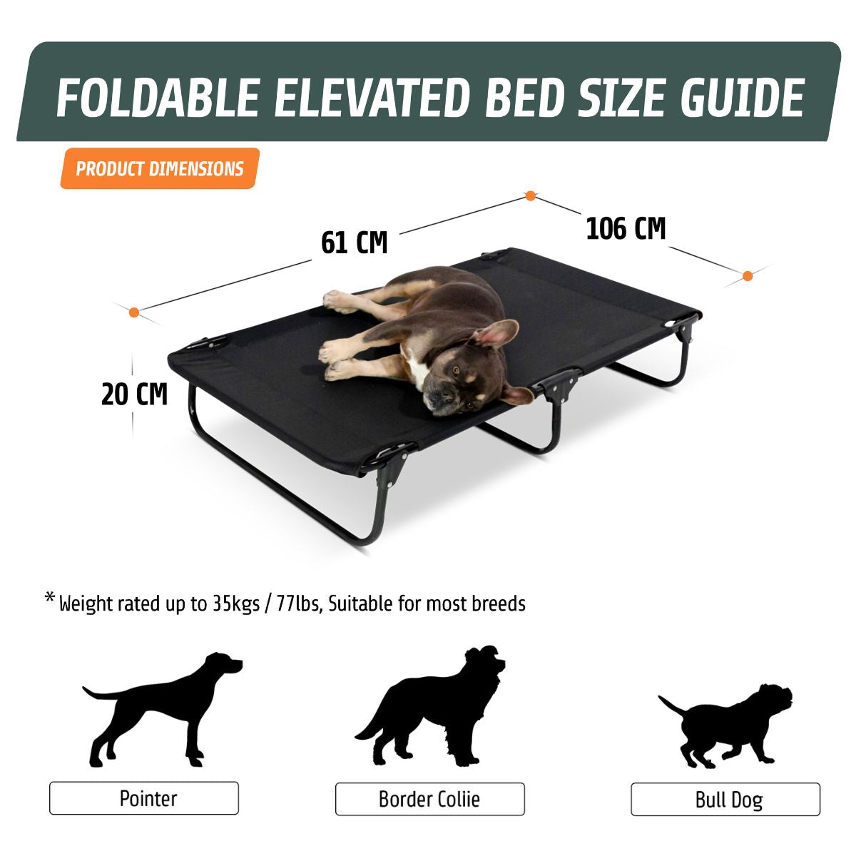 Foldable discount dog bed