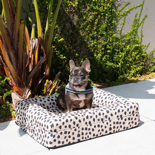 Memory Foam Dog Bed - Designer Black Sands