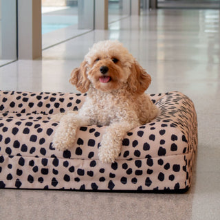 Memory Foam Dog Bed - Designer Black Sands