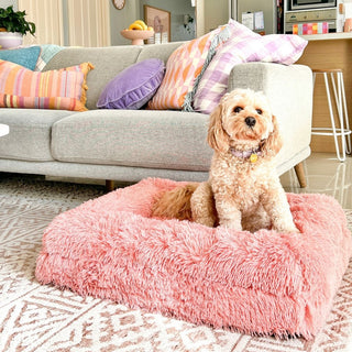 Memory Foam Dog Bed - Shag Pink