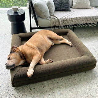 Memory Foam Dog Bed - Polar Fleece Olive