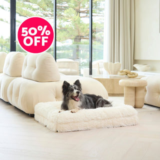 Memory Foam Dog Bed - Shag Cream (50% OFF limited stock)