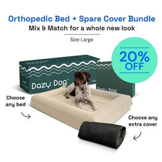 Large Bed with Extra Cover Bundle