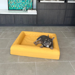 Memory Foam Dog Bed - Cooling Amber