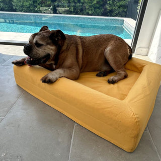 Memory Foam Dog Bed - Cooling Amber