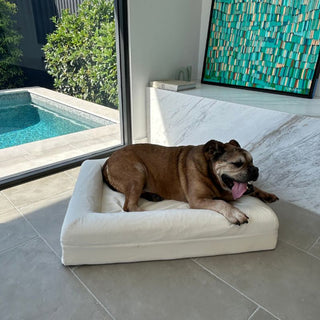 Memory Foam Dog Bed - Cooling Natural