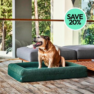 Memory Foam Dog Bed - Boucle Forest Green