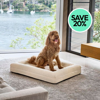 Memory Foam Dog Bed - Boucle Ivory