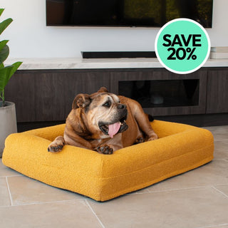 Memory Foam Dog Bed - Boucle Mustard