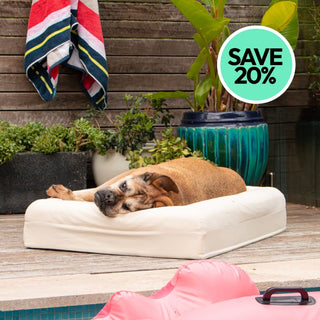 Cooling Dog Bed - Natural Memory Foam