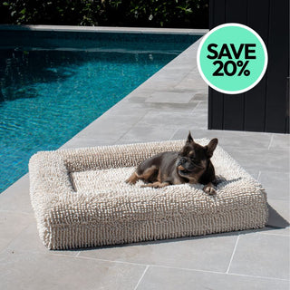 Memory Foam Dog Bed - Noodle Ivory