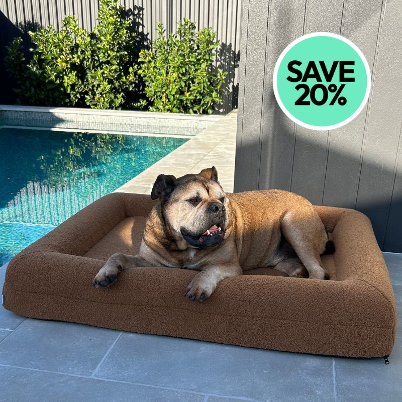 Large tempur pedic dog bed best sale