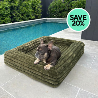 Memory Foam Dog Bed - Puffer Fern