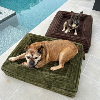 Memory Foam Dog Bed - Puffer Truffle