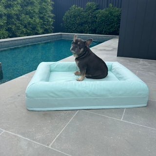 Memory Foam Dog Bed - Cooling Eucalyptus