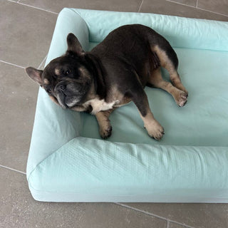 Memory Foam Dog Bed - Cooling Eucalyptus