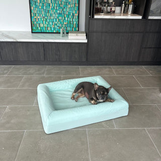 Memory Foam Dog Bed - Cooling Eucalyptus