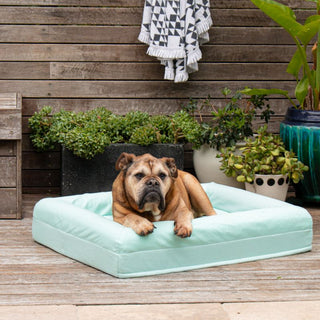 Cooling Dog Bed - Eucalyptus Memory Foam