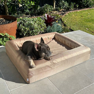 Memory Foam Dog Bed - Armour Beige