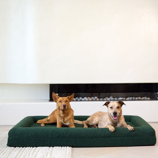 Memory Foam Dog Bed - Boucle Forest Green