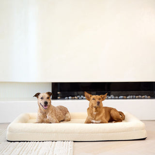 Memory Foam Dog Bed - Boucle Ivory