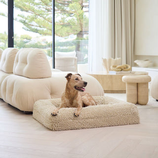 Memory Foam Dog Bed - Noodle Ivory