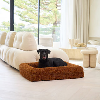 Memory Foam Dog Bed - Noodle Rust