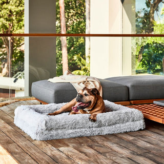 Memory Foam Dog Bed - Shag Grey