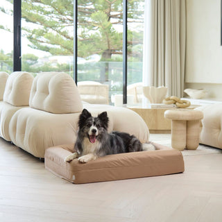 Memory Foam Dog Bed - Armour Beige