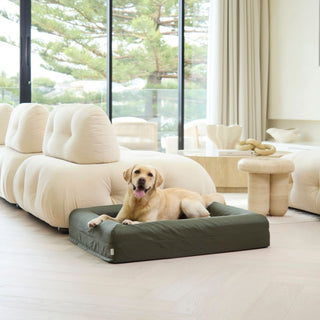 Memory Foam Dog Bed - Armour Pine Green