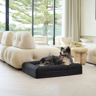 Memory Foam Dog Bed - Armour Black