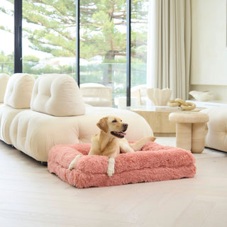 Memory Foam Dog Bed - Shag Pink