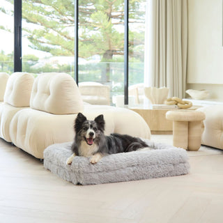 Memory Foam Dog Bed - Shag Grey