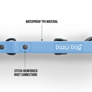 z Dazy Dog Dog Leash Sky Blue Large-Extra Large