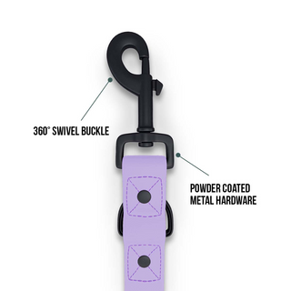 z Dazy Dog Dog Leash Purple Large-Extra Large