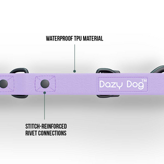 z Dazy Dog Dog Leash Purple Large-Extra Large